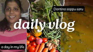 Fresh Tarakarigalu 🥒🥕🍆🧅 Nodokke chanda Alva😍Daily vlog jothe Dantina soppu saru 🍛 [upl. by Navad]