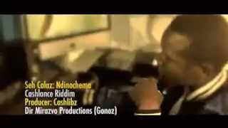 Seh Calaz  NdinochemaOfficail Music Video2014 [upl. by Nylitsirk]