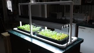 Hydroponic Seed Starting amp Simple PVC Grow Light Stand [upl. by Laurene]