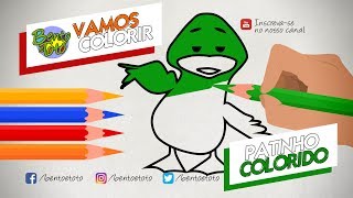 NOVO Vamos colorir com o Patinho Colorido Bento e Totó Vídeos Educativos [upl. by Arand]