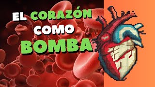 El Corazón como Bomba y el Ciclo Cardiaco [upl. by Ailemap]