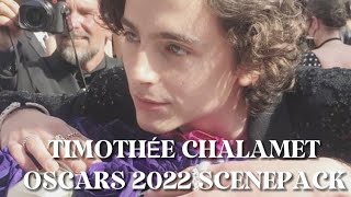 timothée chalamet oscars scenepack  timothee chalamet oscars 2022 scenepack  timothee chalamet [upl. by Calica174]