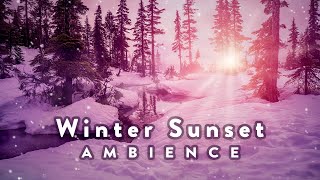 Winter Sunset Ambience gentle stream forest birds amp snowy footstep sounds for relaxation [upl. by Matta]