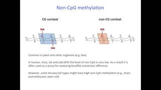 Tips and Considerations for Genomewide DNA methylation and RRBS Dr Aniruddha Chatterjee [upl. by Helgeson]