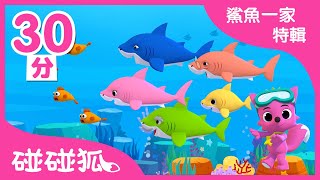 鯊魚一家特輯  最新兒歌  鯊魚寶寶  全球洗腦的BabyShark 鯊魚歌  碰碰狐PINKFONG [upl. by Rhona]