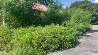 Clearing Overgrown Grass to Revive 2 Abandoned Homes  Transforming a Buried Front Yard [upl. by Eigriv]