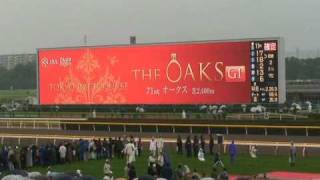 2010 オークス 優駿牝馬 着順決定の瞬間 The moment of result [upl. by Lezah]