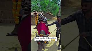 Tame bi enta barati jiba pare 🤣🌿  sambalpuri status video \ ghumra dhari ai mu barati shortvideo [upl. by Raasch]