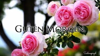 Guten Morgen 🌞 ich wünsche dir einen schönen Tag 🌷 liebe Morgengrüße [upl. by Siocnarf]