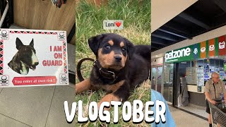 VLOGTOBER EP 1  Got A Rottweiler  Vet Visits  South African Youtuber [upl. by Gnaoh]