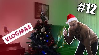 DE KERSTBOOM OPZETTEN  Vlogmas 12 [upl. by Adne233]