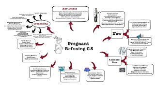 Pregnant Refusing CS  OSCE [upl. by Enahc]