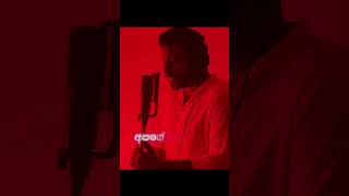 Danena Thuru Maa දැනෙනා තුරු මා  Cover sinhalasongs dineshgamage danenathuruma srilankan [upl. by Garrard]