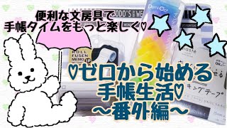 【初心者の手帳】便利な文房具で手帳タイムを楽しく可愛く有意義に♪【SystemDiary】 [upl. by Alarise375]