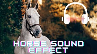 Horse sound effect  Horse neighing sounds Horse sounds  What sounds does a horse make [upl. by Colby369]