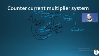 Nerd Renal Physiology5 Reabsorption Forces  Urine Concentration and Acid  base Balance [upl. by Tai]