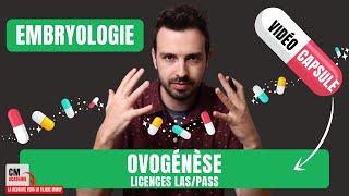 💊CAPSULE DE COURS  Quoi maîtriser sur LOVOGENESE en embryologie en Licences LASPASS [upl. by Einahpetse92]