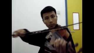 The Corrs  The Minstrel Boy Violin Cover [upl. by Estelle]