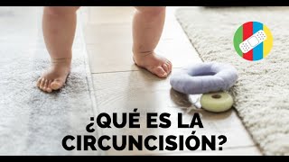 ¿Qué es la Circuncisión [upl. by Einnahpets]