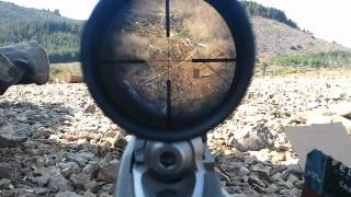 Ruger 1022 22lr shooting at 325 meters [upl. by Herzberg]