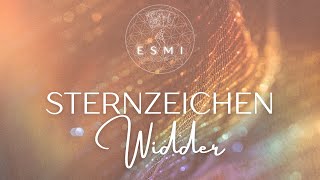 Sternzeichen Widder Adrenalinjunkies ohne Geduld ♈️ [upl. by Yaja]