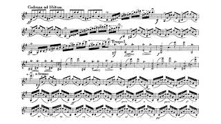 Violin Concerto in E minor Op 64  Felix Mendelssohn Score [upl. by Edna]