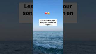 ✨Les Surnom Pour Son Petit Copain En Anglais 🥰❤️TIKTOK [upl. by Aketahs738]