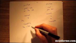 MCAT Biology Lecture Introduction to Genetics [upl. by Karrie]