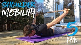 5 Minute Upper Body Mobility Routine FOLLOW ALONG [upl. by Ahsitauq]