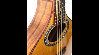 The Awen Cittern by Tim Reede Guitars [upl. by Annaek]