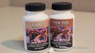 Fish Pen Penicillin 250 mg Fish Antibiotic [upl. by Geesey]