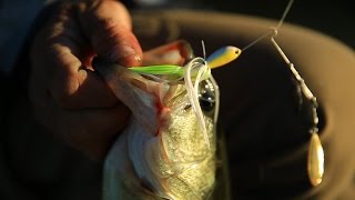 Spinnerbait Fishing Tips for Bass with Mike Iaconelli [upl. by Adai158]