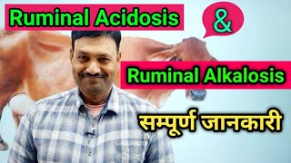 Ruminal Acidosis in Cattle Ruminal Alkalosis in Cattle Ramawat Vets Club [upl. by Shea]