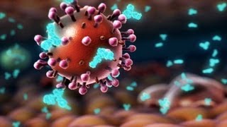 HIV and flu  the vaccine strategy  Seth Berkley [upl. by Nyrahs665]