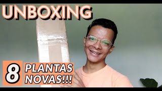 Unboxing  comprei 8 plantas Veja quais são [upl. by Miculek]