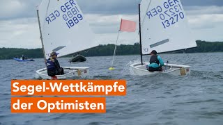 SegelWettkämpfe auf Schweriner See  28 Schweriner Marstall Cup 2024 [upl. by Ahtelat]