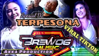 DJ TERPESONA VIRAL TIK TOK  Brewog Music Feat Akka Production [upl. by Ahsiket337]