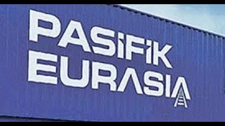 PASEU Bölünme Onayı Geldi Hisse Taban Gördü Pasifik Eurasia Lojistik Hisse PASEU Neden Düşüyor [upl. by Novel]