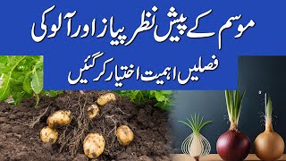 Mosam Ki Wajah Se Pyaz Aur Aloo Ahmiyat Ikhtiyar Kar Gaen  Rate Forecast for Onion and Potato [upl. by Ahsiekram681]