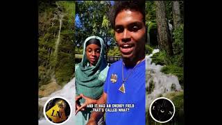 Telluric Energy amp EMF W Mama Aja natureboy eligiobishop 3isfr33 [upl. by Aneev]