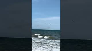 Blue Angels flyby [upl. by Aceber]