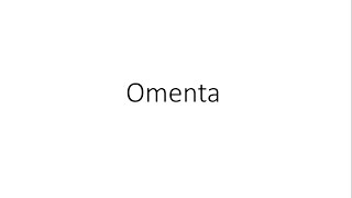 Omenta  Anatomy [upl. by Irmo]