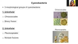 Unit 3 Lecture 7 Functional Diversity concenpt and Phototrophs diversity Fall 2024 [upl. by Derdlim]