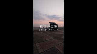 【弾きっぱなしaccordion】サザンオールスターズ ｰ 真夏の果実 Southern All Stars ｰ Manatsu no Kajitsu [upl. by Michaeline]