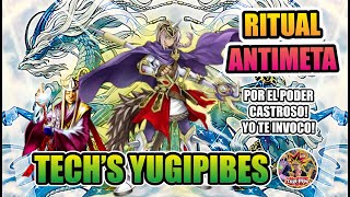 RITUAL STUN  ANTIMETA  Deck list  Replays yugipibearmy elyugipibe [upl. by Eireva804]