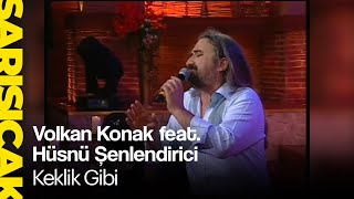 Volkan Konak feat Hüsnü Şenlendirici  Keklik Gibi Sarı Sıcak [upl. by Notseh]