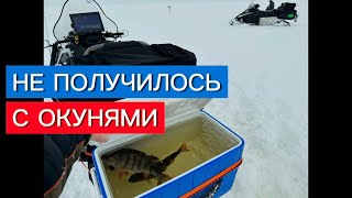 ОКУНЬ В АКВАРИУМ НЕ ПОЛУЧИЛОСЬ [upl. by Jt]