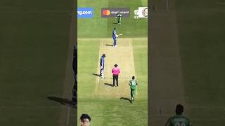 Dawid Malans Brilliant Performance 😱 shorts youtubeshorts cricket t20worldcup cricketshorts [upl. by Ahsini]