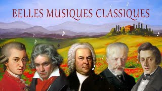 Musique Classique pour Travailler et se Concentrer  Musique Classique Douce pour Étudier  1 heures [upl. by Mauldon]