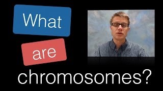 What are Chromosomes [upl. by Reimer]